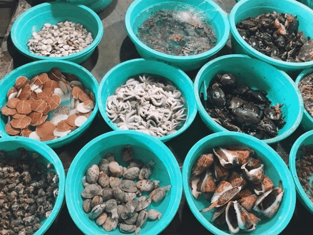 Những địa điểm du lịch Cần Giờ