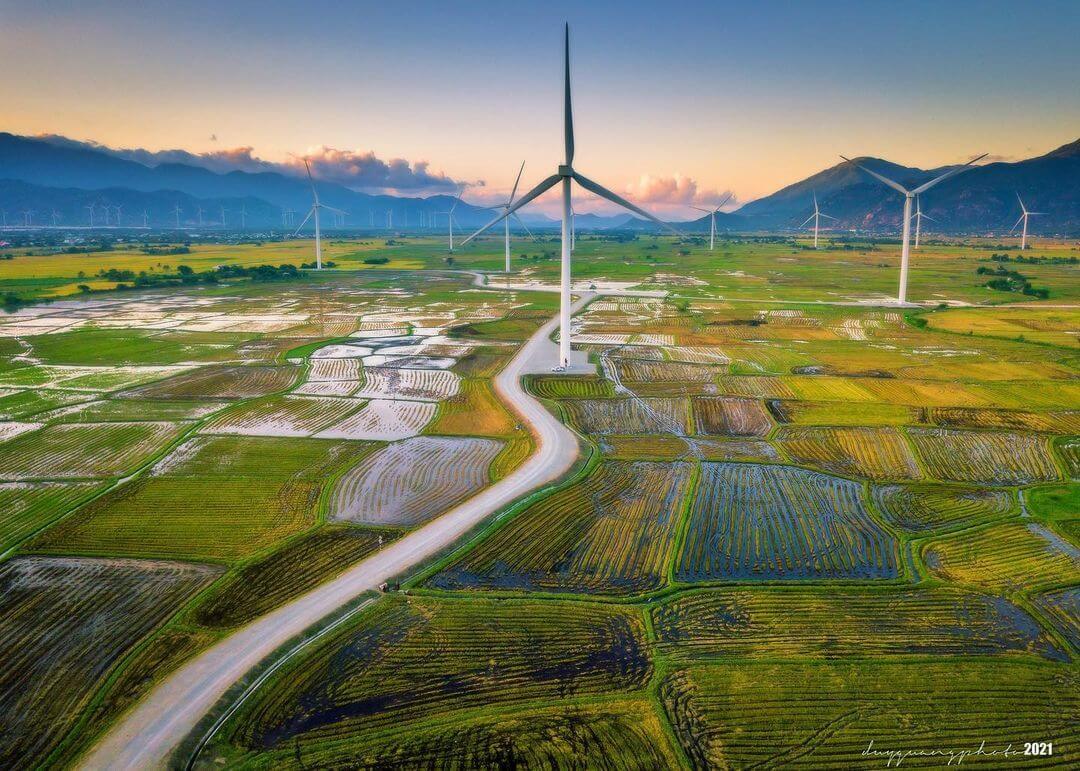 Cánh đồng điện gió Đầm Nại