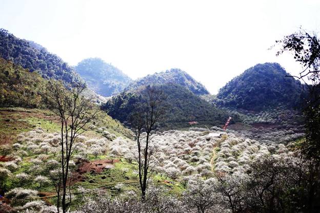 Thung Lũng Mận Nà Ka