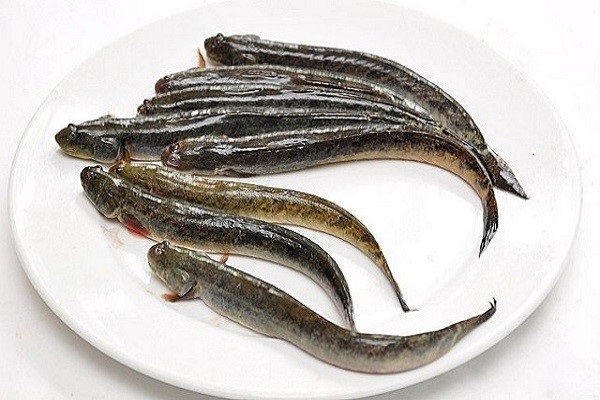 lẩu cá kèo