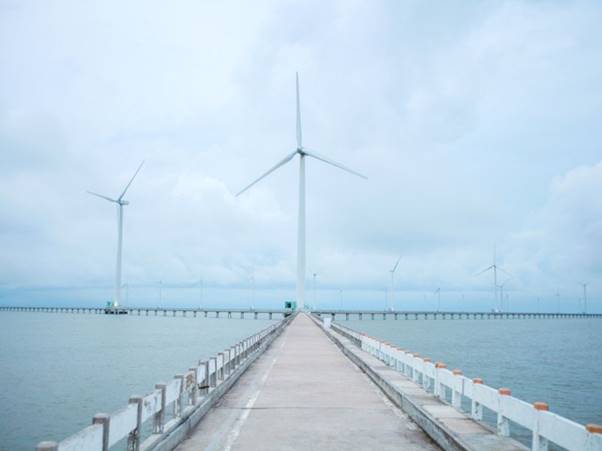 Cánh đồng điện gió Bạc Liêu