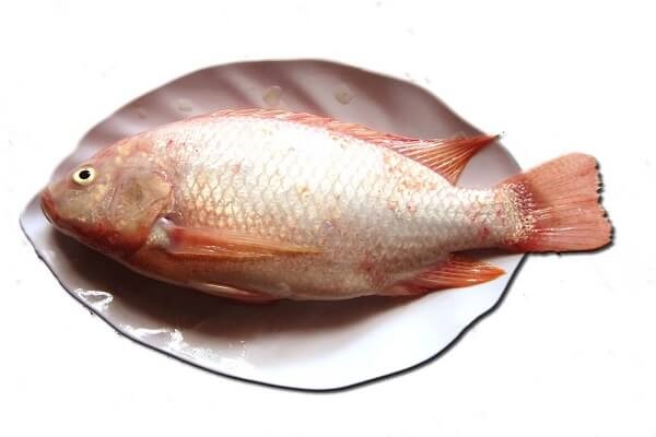 canh chua cá điêu hồng