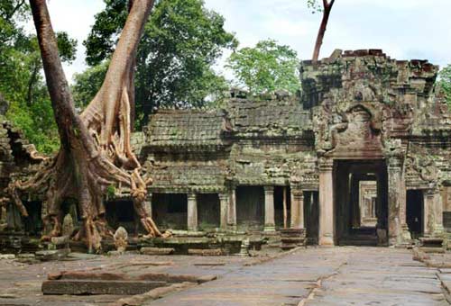 Angkor, ngôi nhà của thần linh