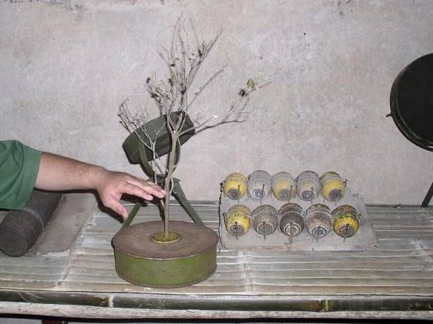 Địa đạo Củ Chi 