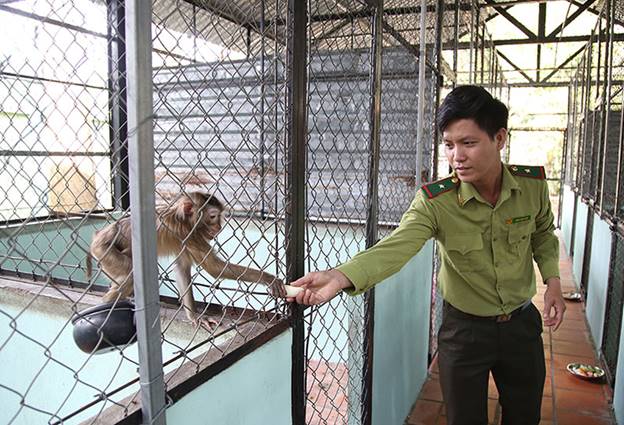 Địa đạo Củ Chi 