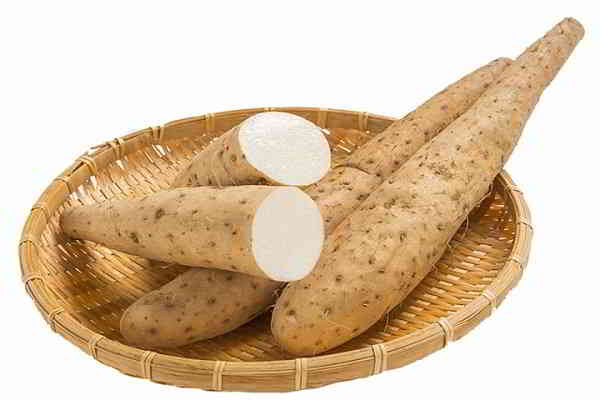 Chè củ mài 